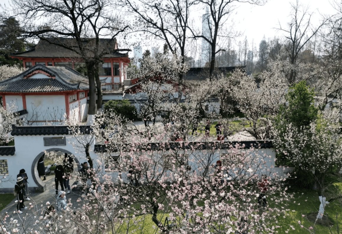 南京景點｜5. 玄武湖公園